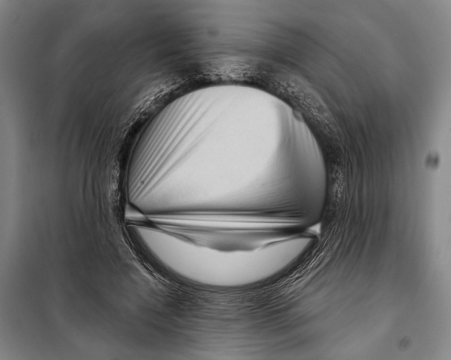 X0000097970548200804211014