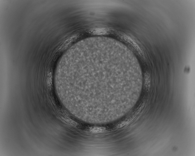 X0000097970549200804211014