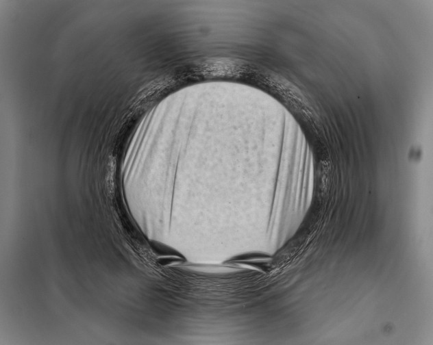 X0000097970550200804211014
