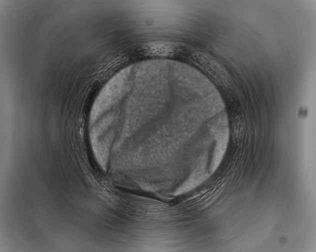 X0000097970551200804211014