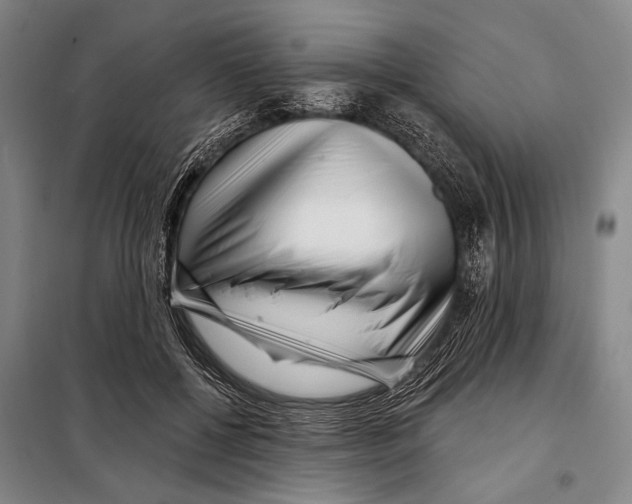 X0000097970552200804211014