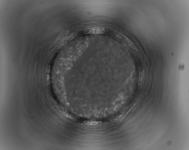 X0000097970553200804211014