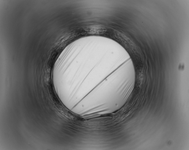 X0000097970554200804211014