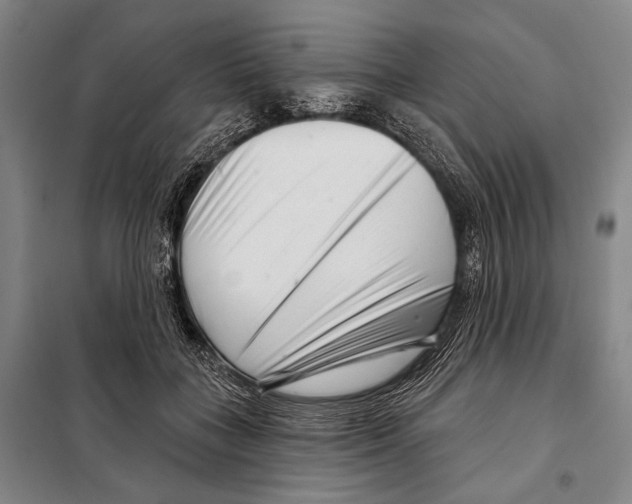 X0000097970555200804211014