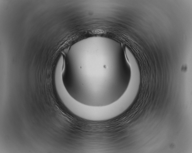 X0000097970556200804211014