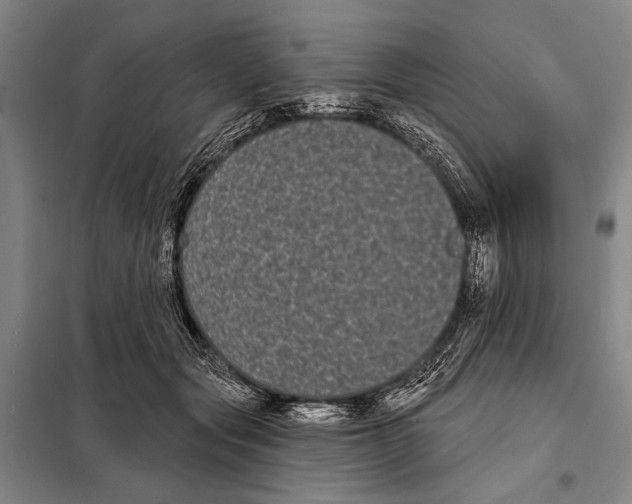 X0000097970557200804211014