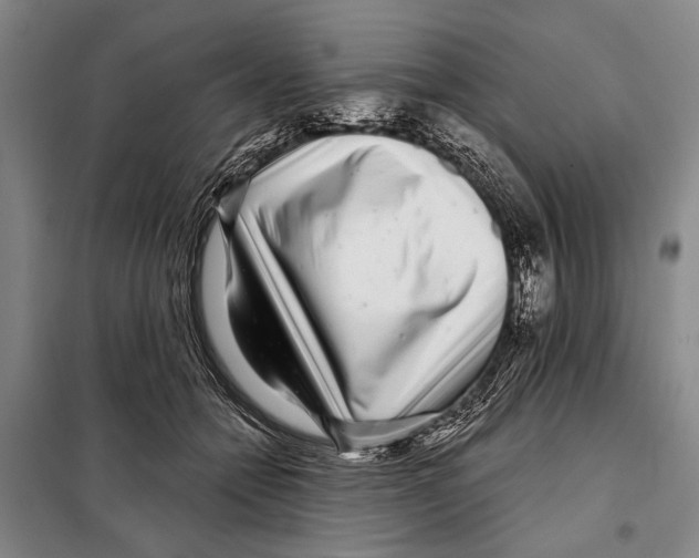 X0000097970558200804211014