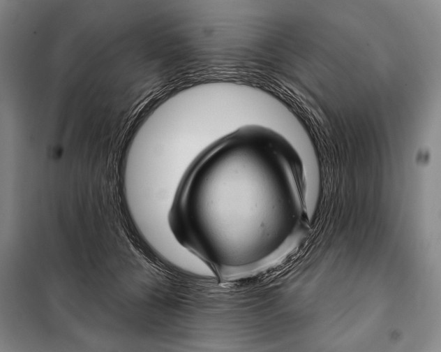 X0000097970560200804211014