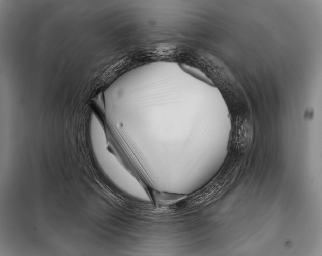 X0000097970562200804211014