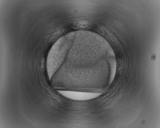 X0000097970563200804211014