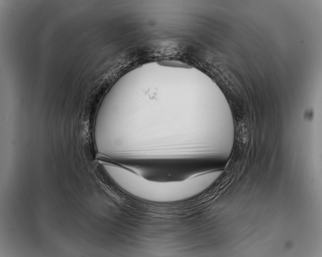 X0000097970564200804211014