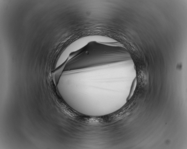 X0000097970566200804211015