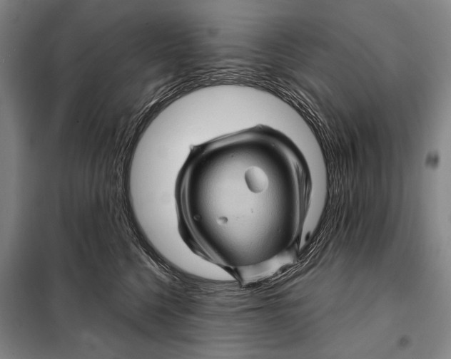 X0000097970568200804211015