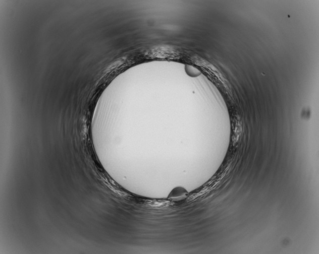 X0000097970569200804211015