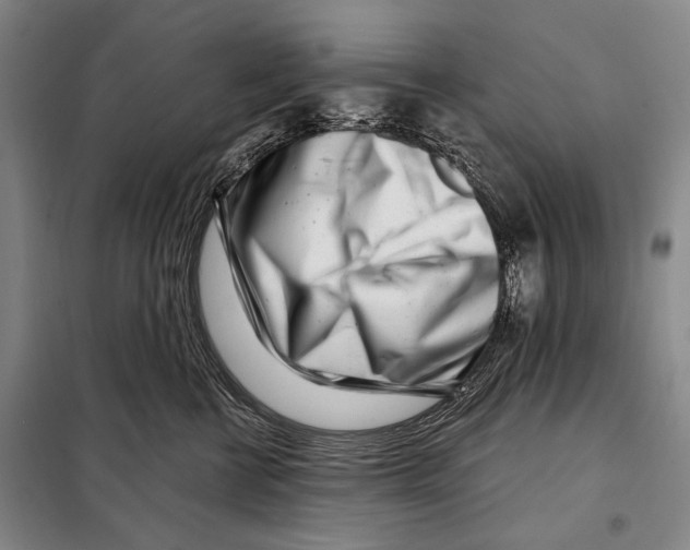 X0000097970570200804211015