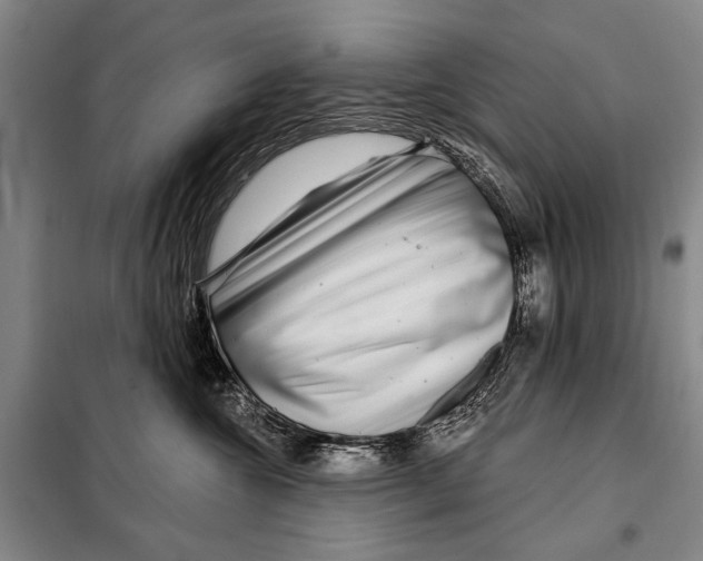 X0000097970572200804211015