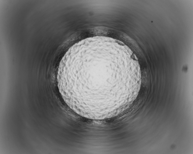 X0000097970573200804211015