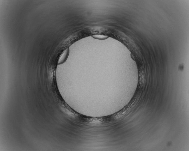 X0000097970574200804211015
