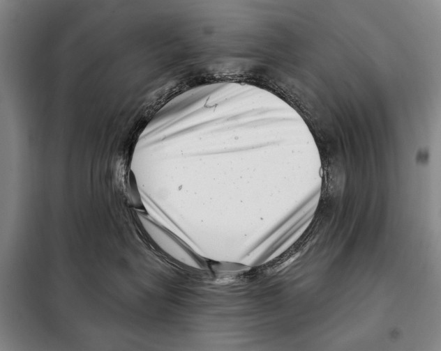 X0000097970575200804211015
