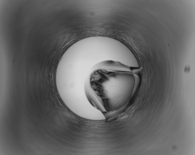 X0000097970576200804211015