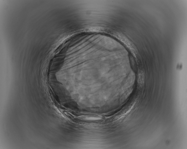 X0000097970577200804211014