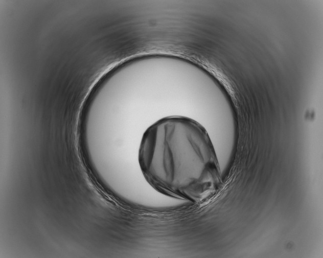 X0000097970580200804211014