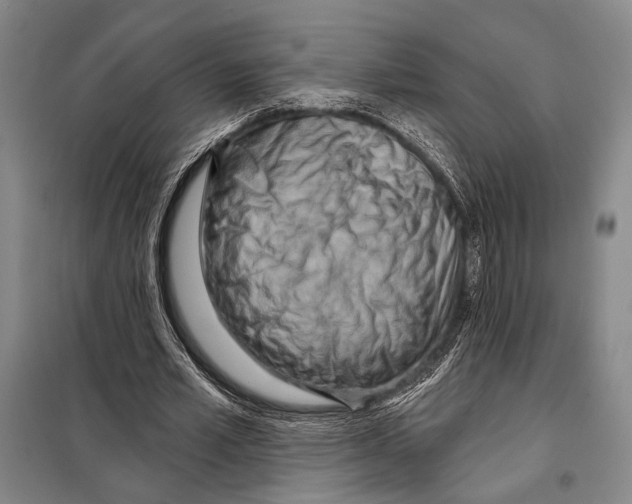 X0000097970581200804211014