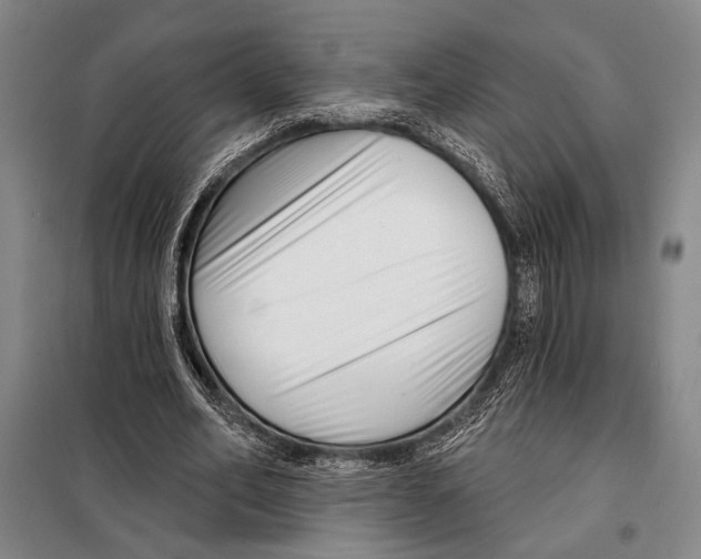 X0000097970582200804211014