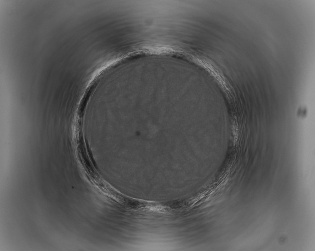 X0000097970583200804211014