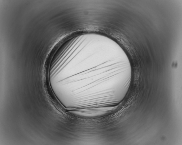 X0000097970584200804211014