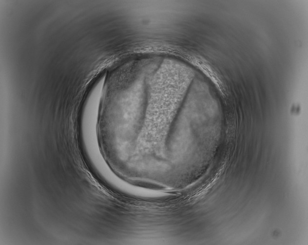 X0000097970585200804211014