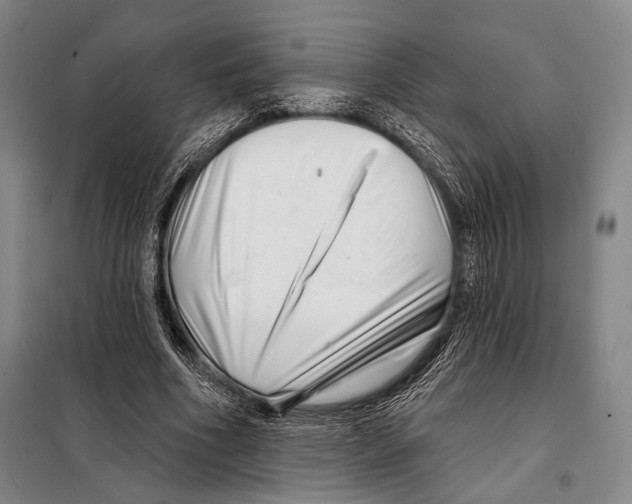 X0000097970586200804211014