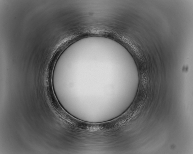 X0000097970587200804211014