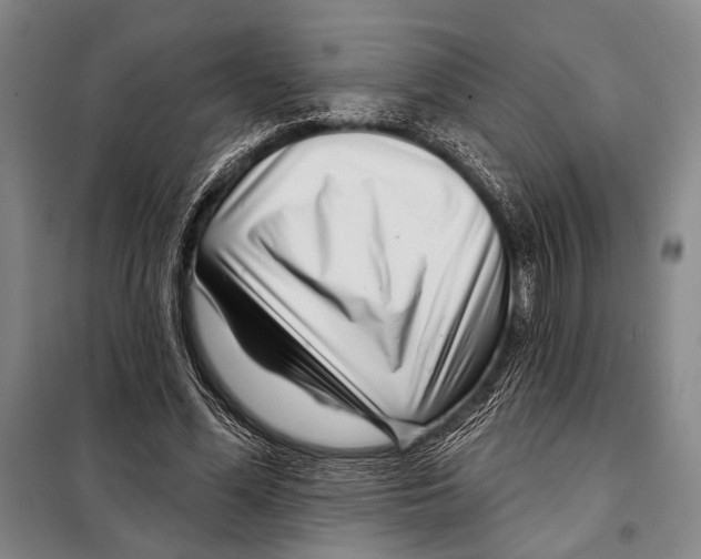 X0000097970588200804211013