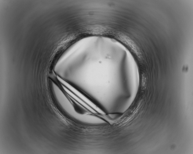 X0000097970589200804211013