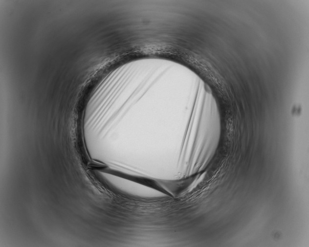 X0000097970592200804211013