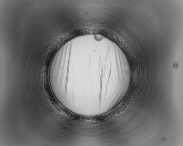 X0000097970594200804211013