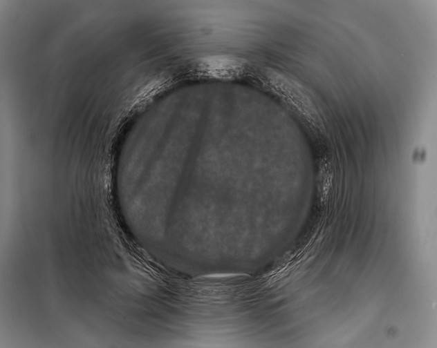 X0000097970595200804211013