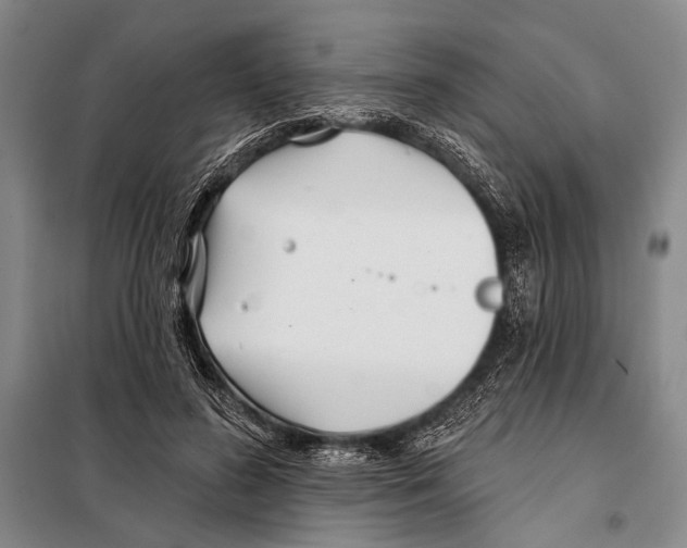 X0000097970596200804211013