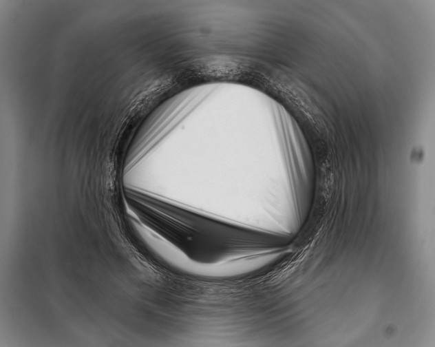 X0000097970597200804211013