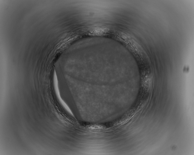 X0000097970599200804211013