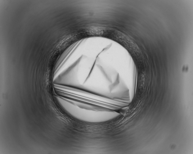 X0000097970600200804211013