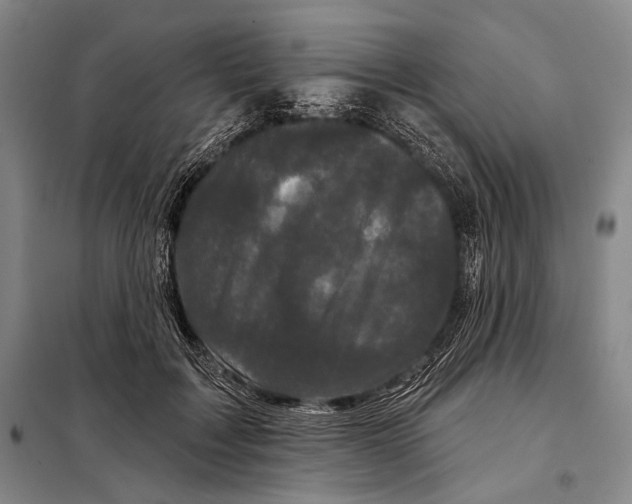 X0000097970603200804211013