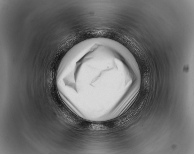 X0000097970605200804211013