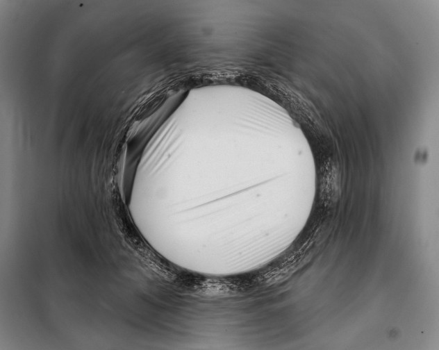X0000097970608200804211013