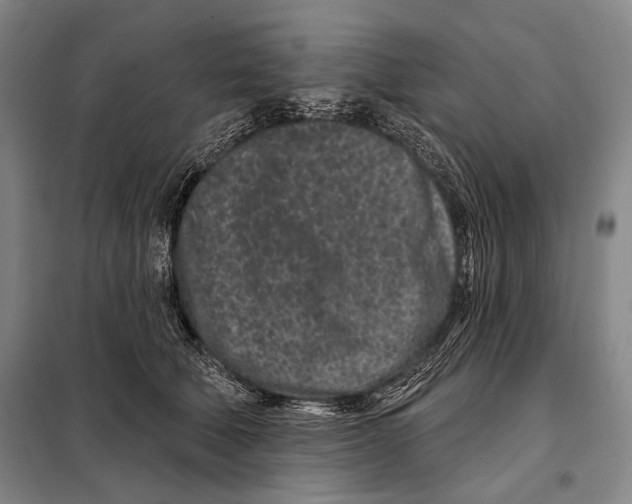 X0000097970610200804211013