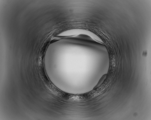 X0000097970611200804211013