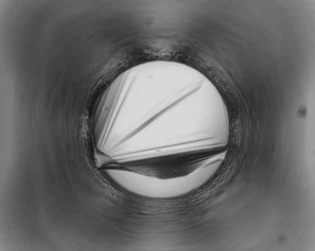 X0000097970612200804211013