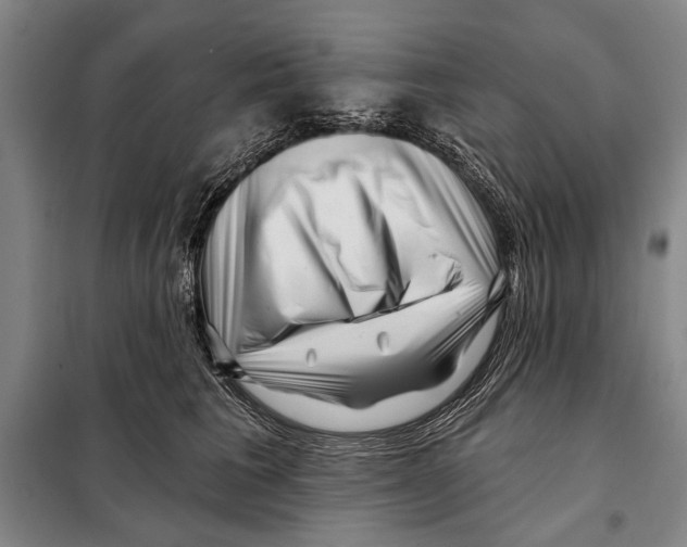 X0000097970613200804211013