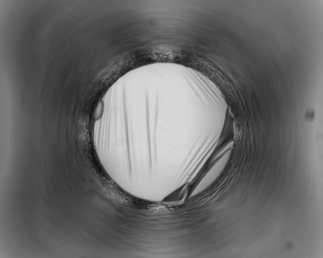 X0000097970616200804211013